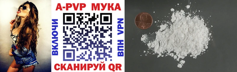 OMG как зайти  Иланский  А ПВП крисы CK 