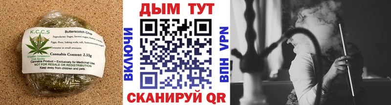 где купить наркоту  Иланский  Cannafood конопля 