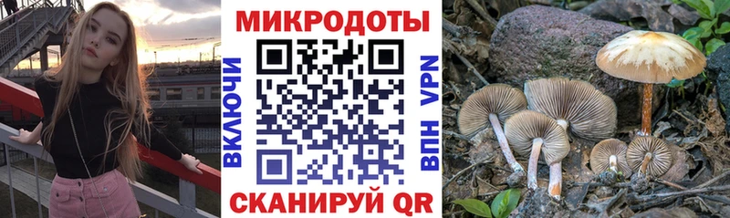 нарко площадка какой сайт  Иланский  Галлюциногенные грибы Cubensis 