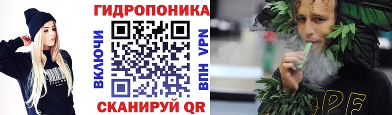 Каннабис ГИДРОПОН Иланский